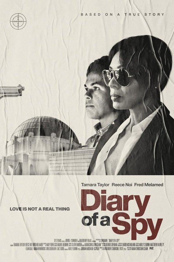 Diary of a Spy dvd release poster