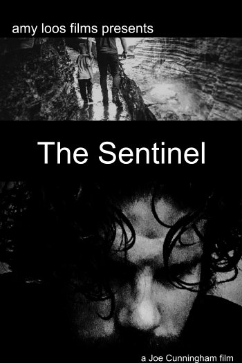 The Sentinel dvd release poster