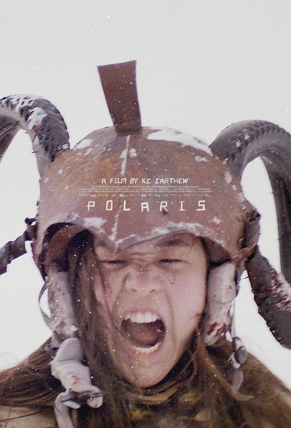 Polaris dvd release poster