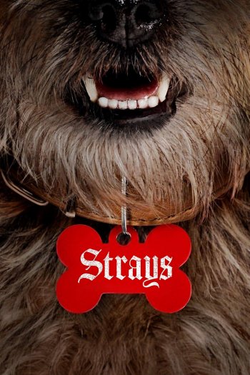 Strays dvd release poster