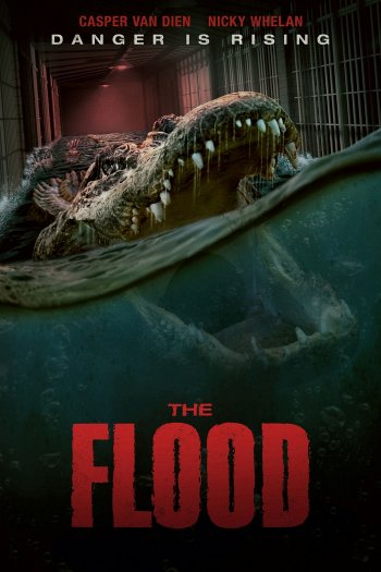 The Flood dvd release poster