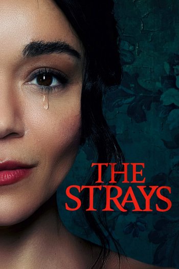 The Strays dvd release poster