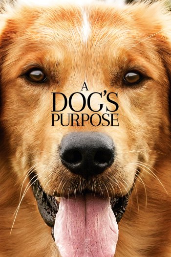 A Dog's Purpose dvd release poster