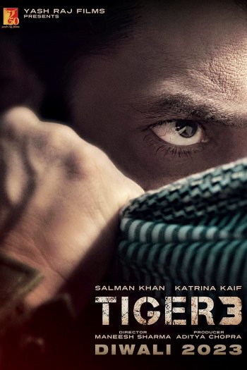 Tiger 3 dvd release poster