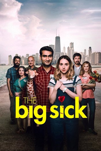 The Big Sick dvd release poster