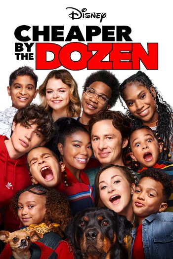 Cheaper by the Dozen dvd release poster