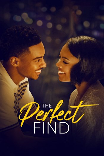 The Perfect Find dvd release poster
