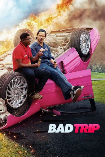 Bad Trip dvd release poster